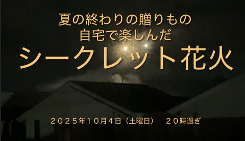 YouTube動画シークレット花火