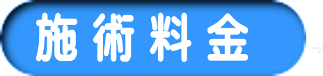 施 術 料 金